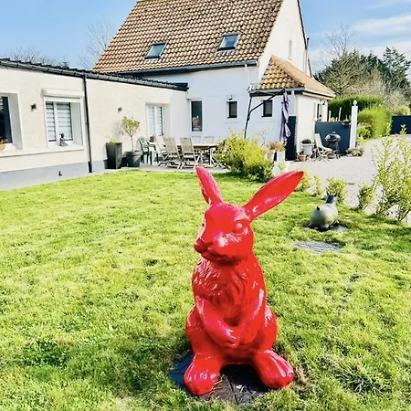 Le Côte D Opale Bohème 3* Calais